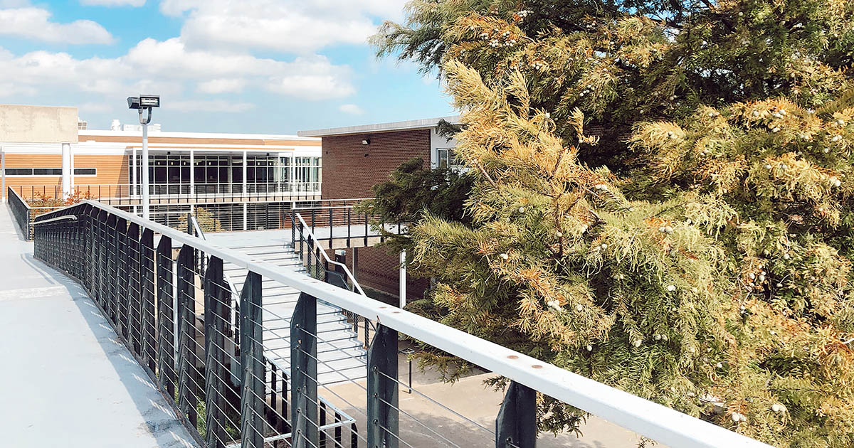 Grayson College