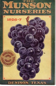 Old-time label for Munson Nurser