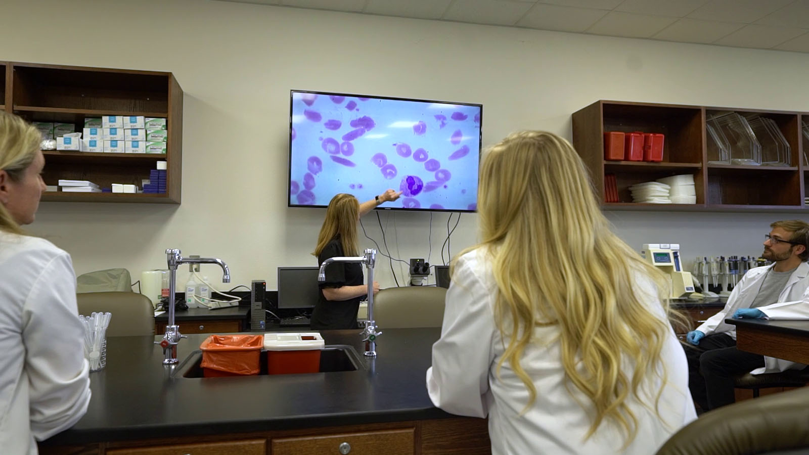 Medical Laboratory Classroom Lecture with projection of red blood cells