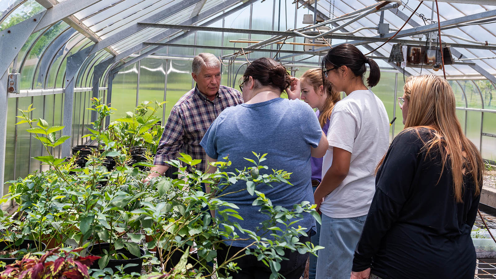 Agriculture students learning with teacher in greenhouse