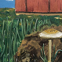 Mushroom Macro by Hannah Bowers